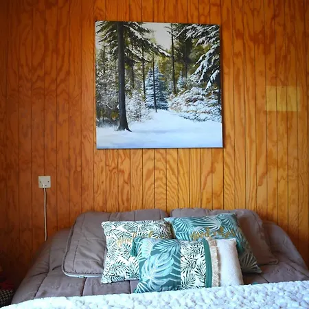3 Pieces Au Sud, Proche Centre De Font-romeu - Fr-1-580-131 Apartment